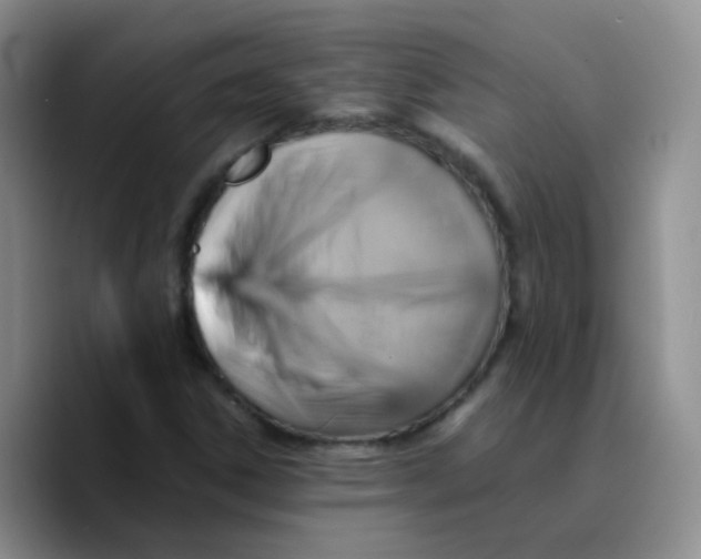 X0000089731306200707201833
