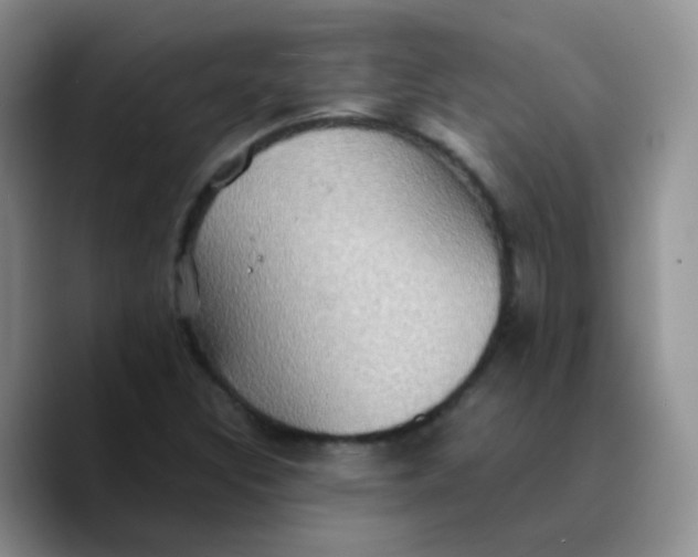 X0000089731308200707201833