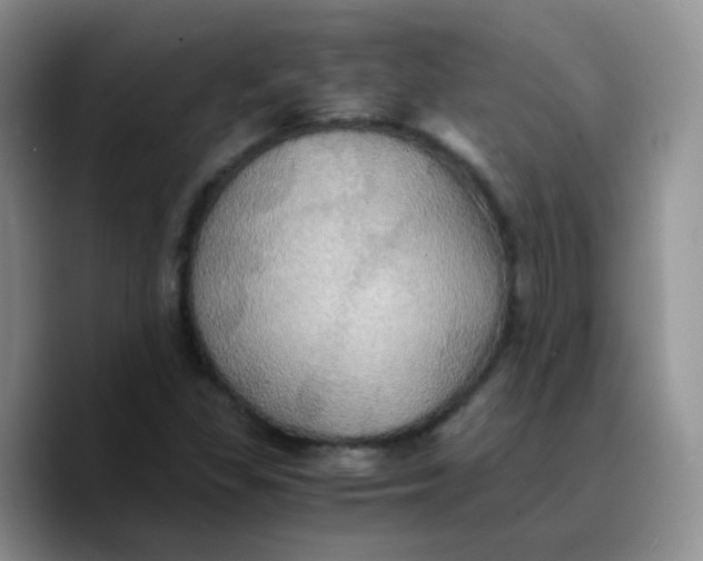 X0000089731309200707201833