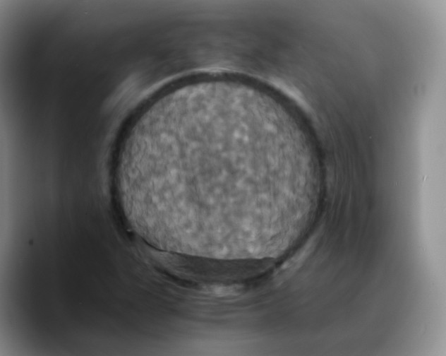 X0000089731311200707201833