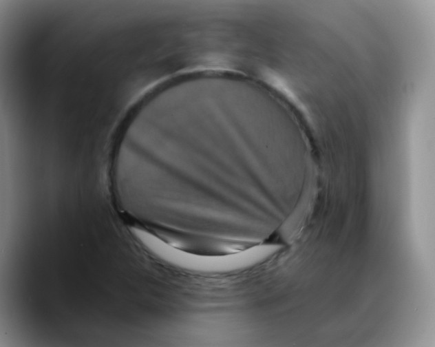 X0000089731312200707201833