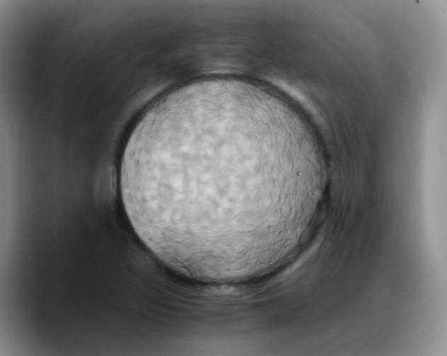 X0000089731317200707201833