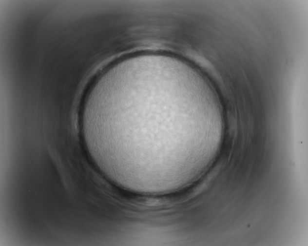 X0000089731318200707201833