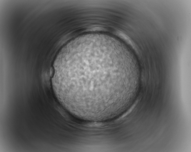 X0000089731321200707201833