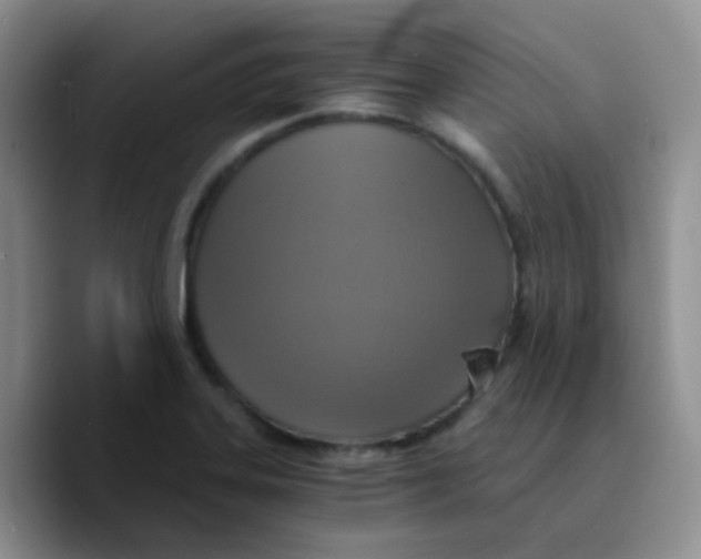 X0000089731323200707201833