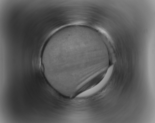 X0000089731324200707201833