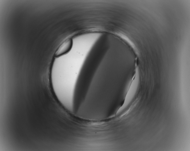 X0000089731325200707201833