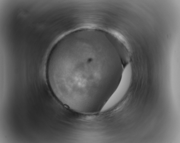 X0000089731326200707201833