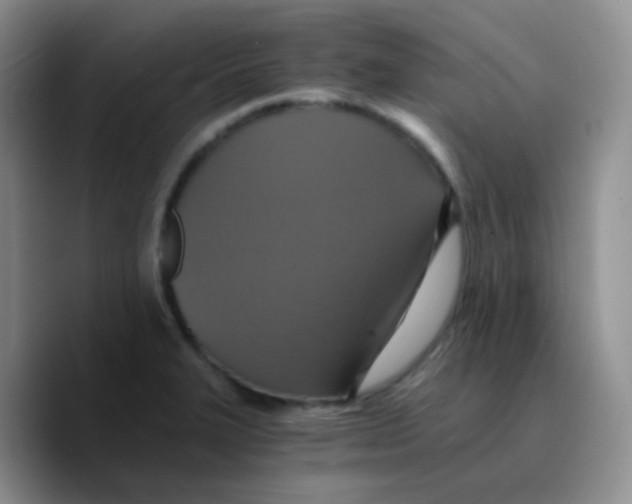 X0000089731327200707201833