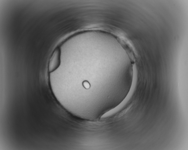 X0000089731328200707201833