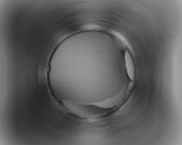X0000089731330200707201833