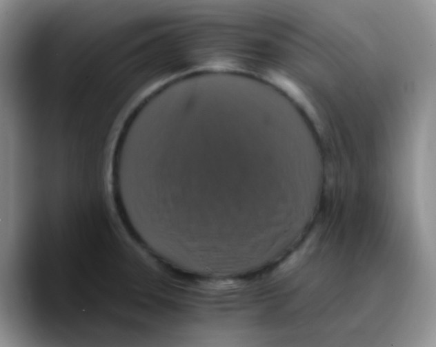 X0000089731331200707201833