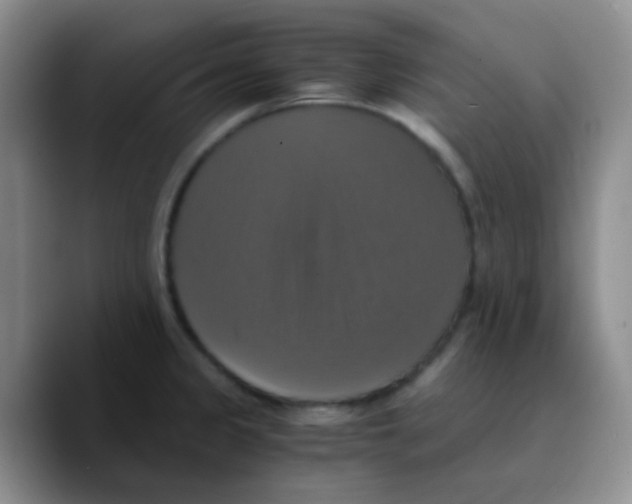 X0000089731333200707201833