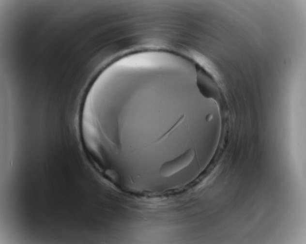 X0000089731334200707201833