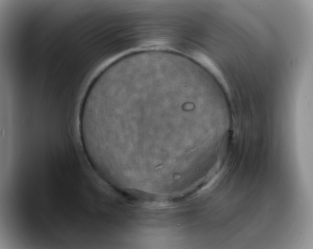 X0000089731336200707201833
