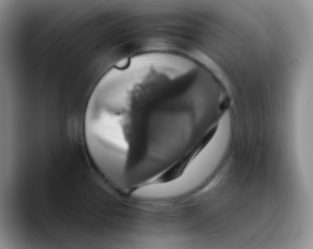 X0000089731337200707201833
