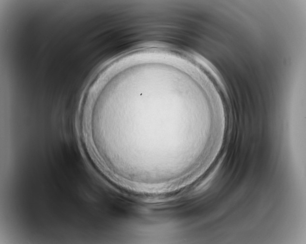 X0000089731338200707201833