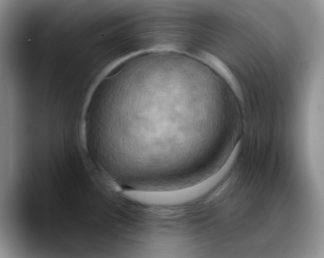 X0000089731340200707201833