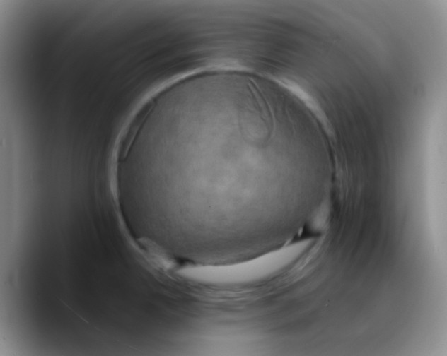 X0000089731342200707201834