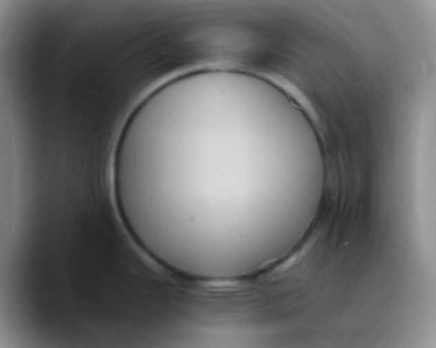 X0000089731343200707201834