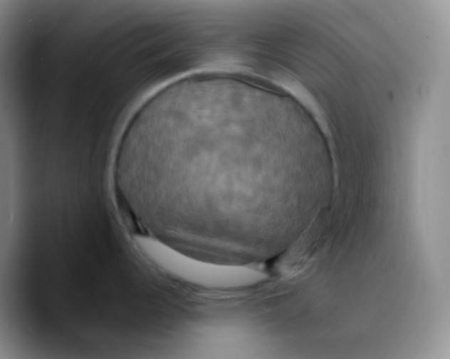 X0000089731344200707201834