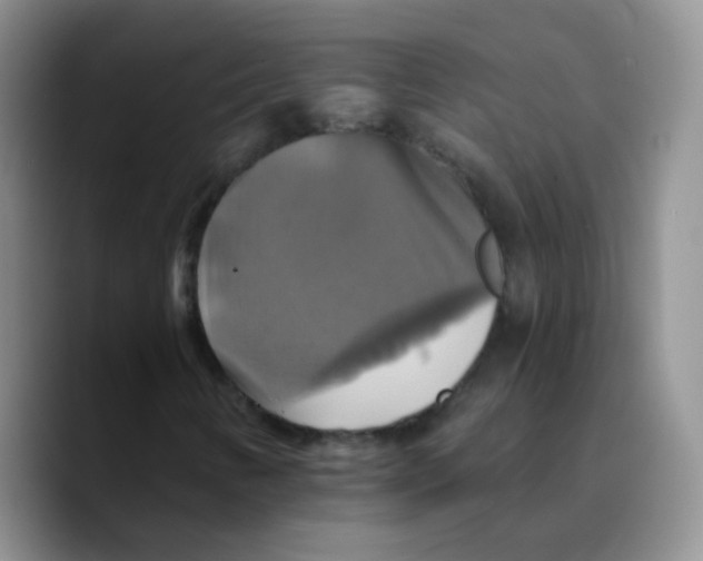 X0000089731346200707201833
