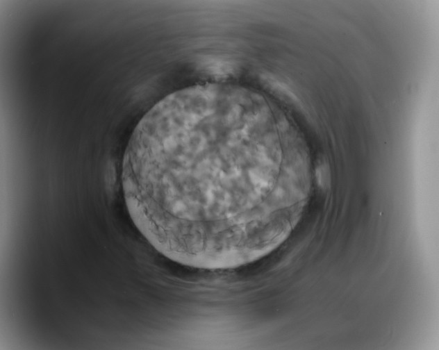 X0000089731347200707201833