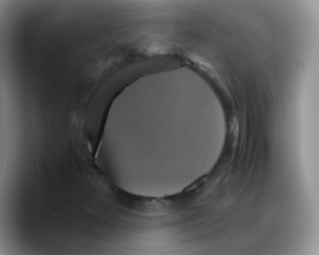 X0000089731348200707201833