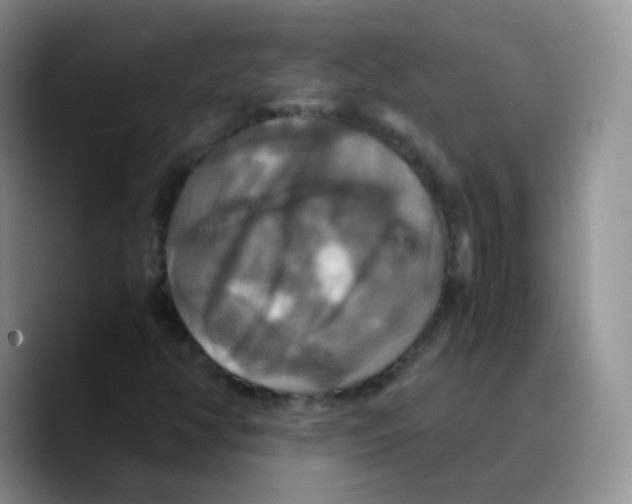 X0000089731350200707201833