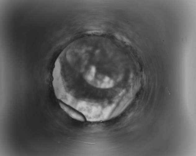 X0000089731351200707201833