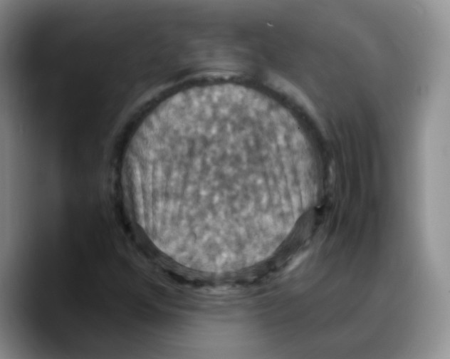 X0000089731352200707201833