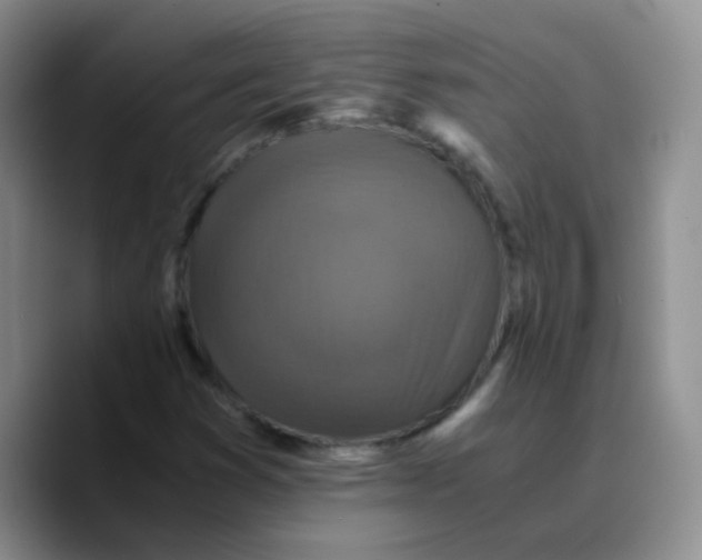 X0000089731353200707201833