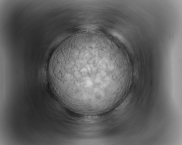 X0000089731354200707201833