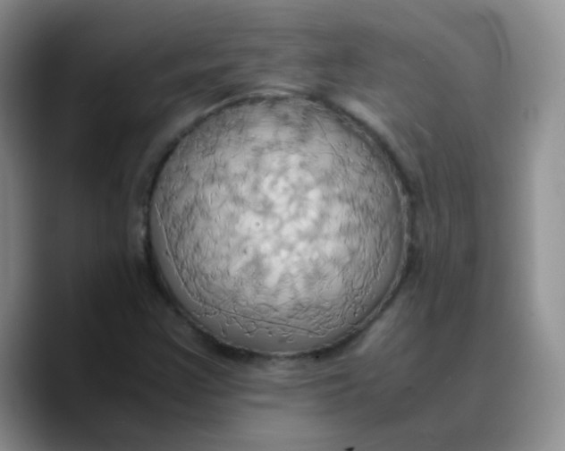 X0000089731355200707201833