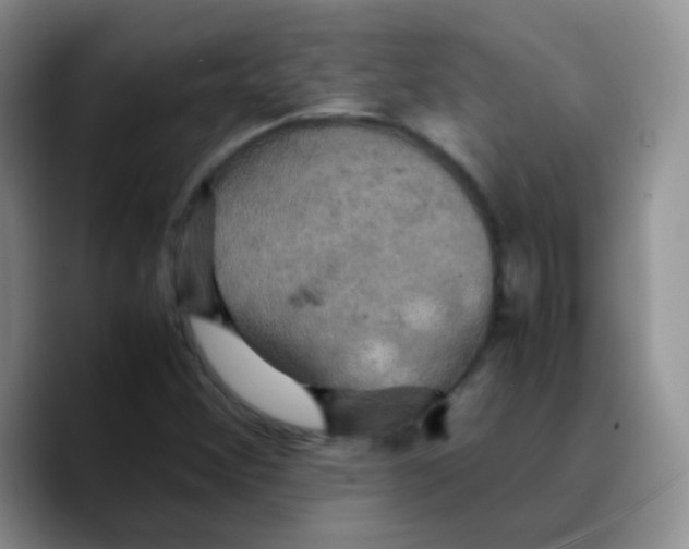 X0000089731356200707201833