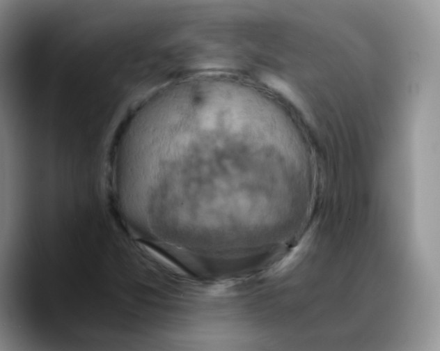 X0000089731357200707201833