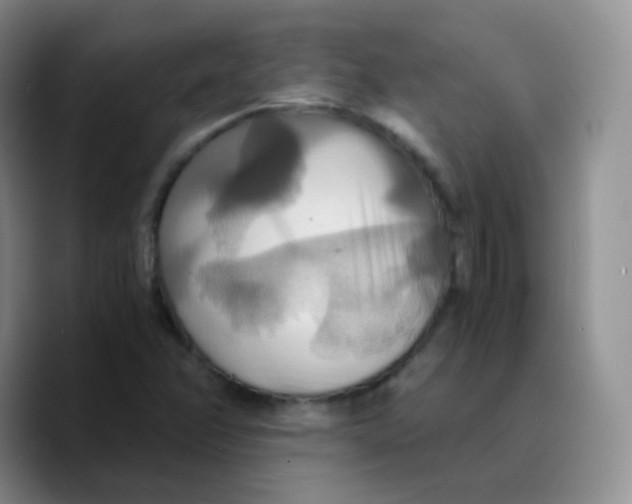 X0000089731358200707201833