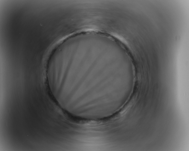 X0000089731359200707201833