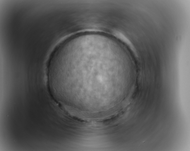 X0000089731360200707201833