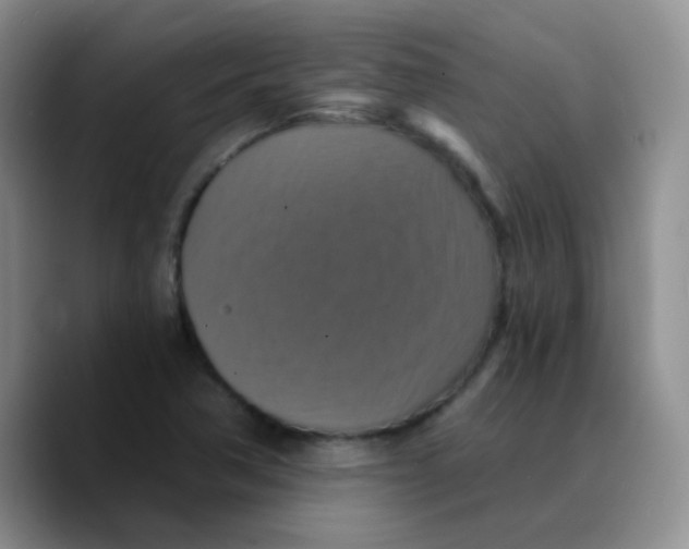 X0000089731362200707201833