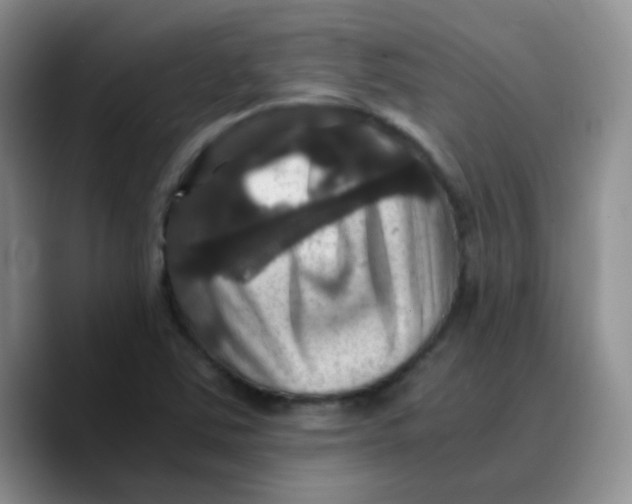 X0000089731363200707201832