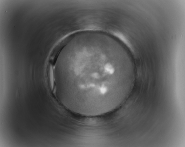 X0000089731364200707201832