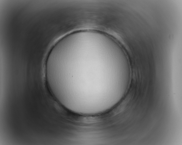 X0000089731366200707201832