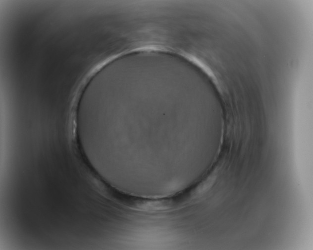 X0000089731367200707201832