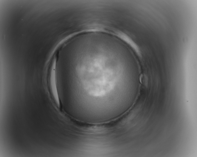 X0000089731368200707201832