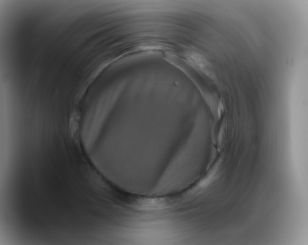 X0000089731369200707201832