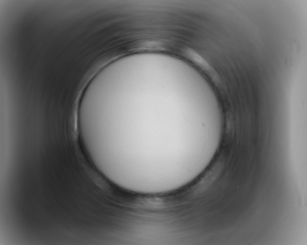X0000089731370200707201832