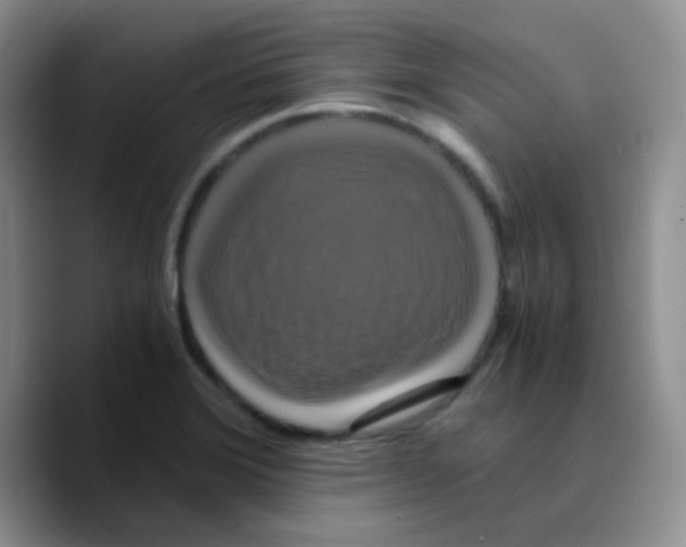 X0000089731372200707201832