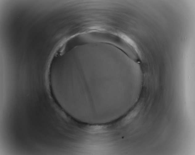X0000089731373200707201832