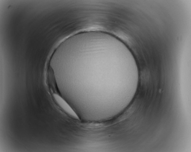 X0000089731374200707201832